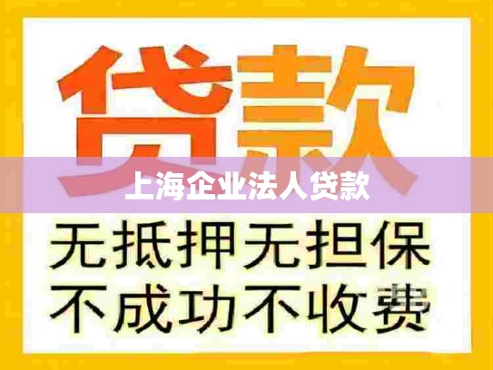 上海企业法人贷款