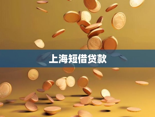 上海短借贷款