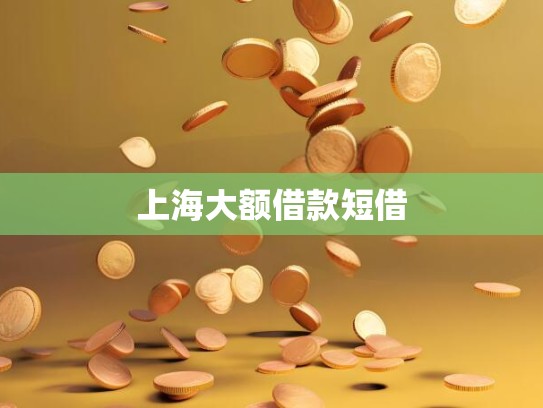 上海大额借款短借