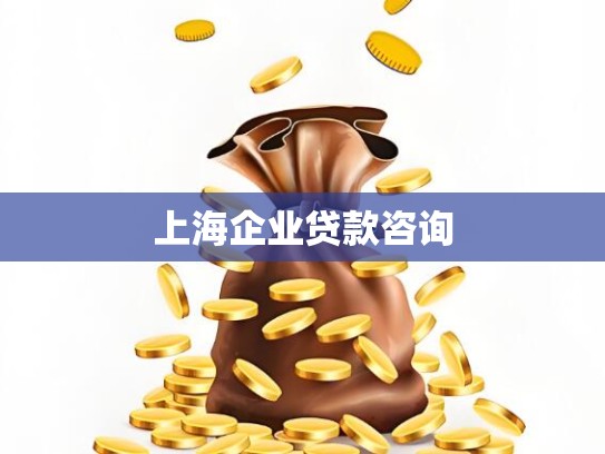 上海企业贷款咨询