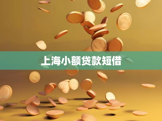 上海小额贷款短借