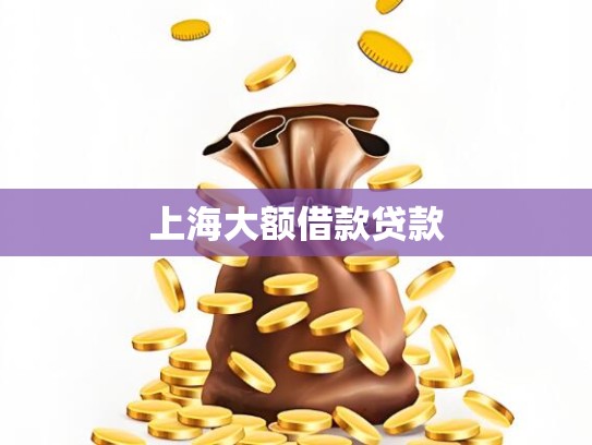 上海大额借款贷款