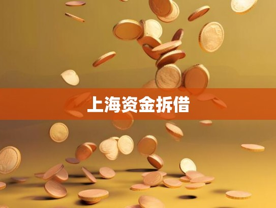 上海资金拆借