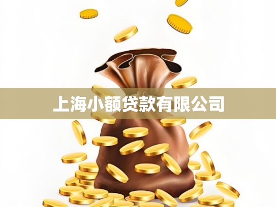 上海小额贷款有限公司