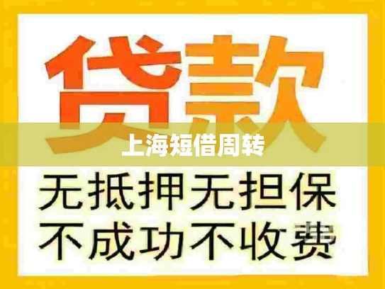 上海短借周转