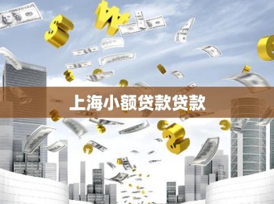 上海小额贷款贷款