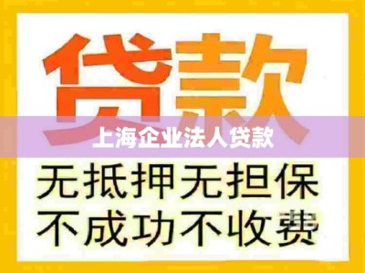 上海企业法人贷款