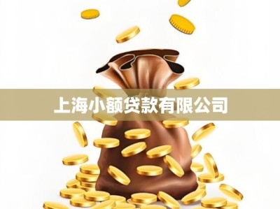 上海小额贷款有限公司