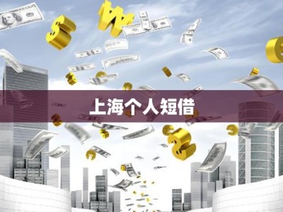 上海个人短借