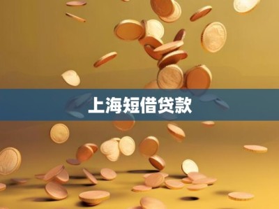 上海短借贷款