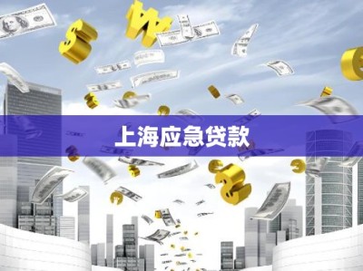 上海应急贷款