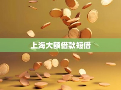 上海大额借款短借