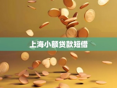 上海小额贷款短借