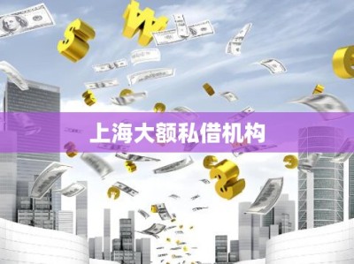 上海大额私借机构
