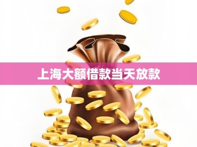上海大额借款当天放款